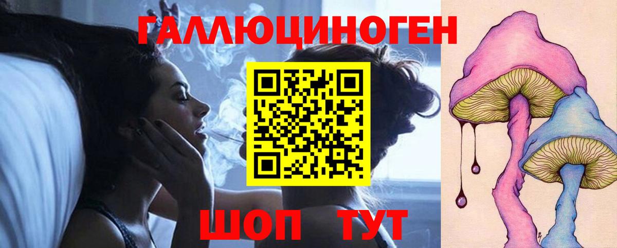 Красноармейск  Галлюциногенные грибы Cubensis  Вход с VPN 